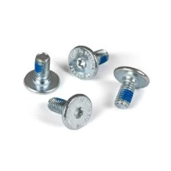 Chaya DCM Mounting Screws